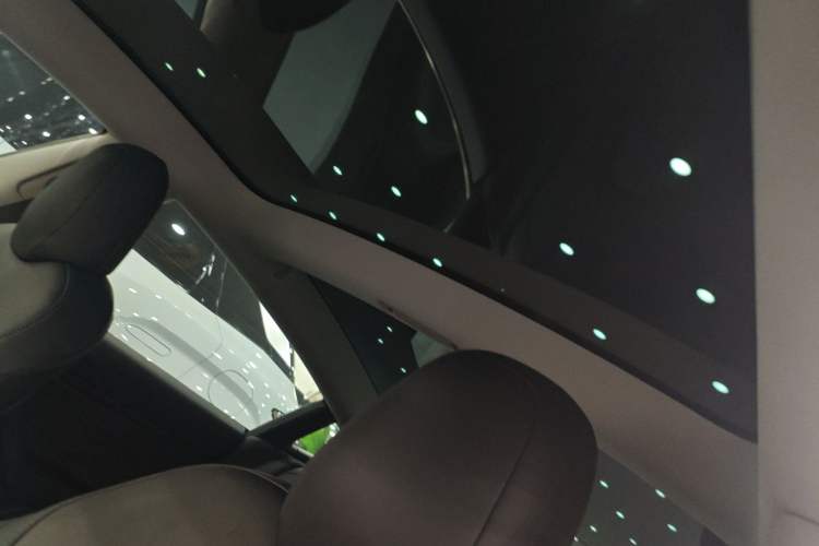 Used Tesla Model 3 2019 Standard Range Rear-Wheel Drive Upgraded Version (52 kWh) Headliner