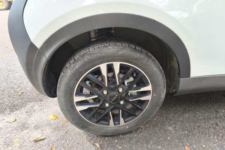 Used Chery Little Ant 2023 251km True Love Edition Lithium Iron Phosphate