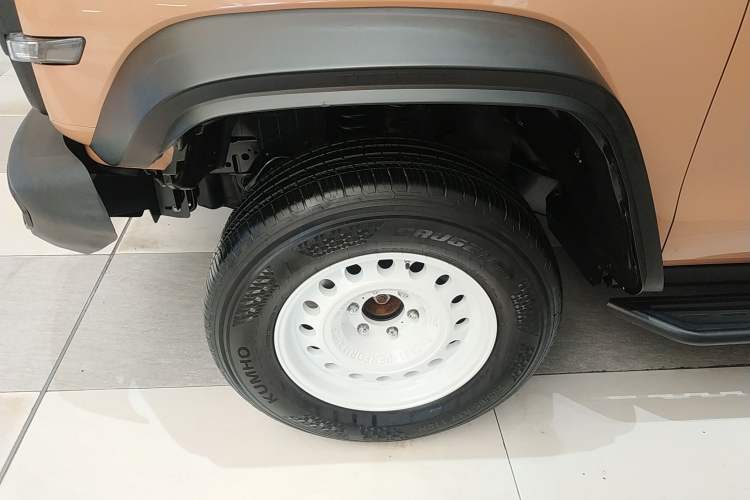 Used Tank 300 2024 2.0T Conqueror