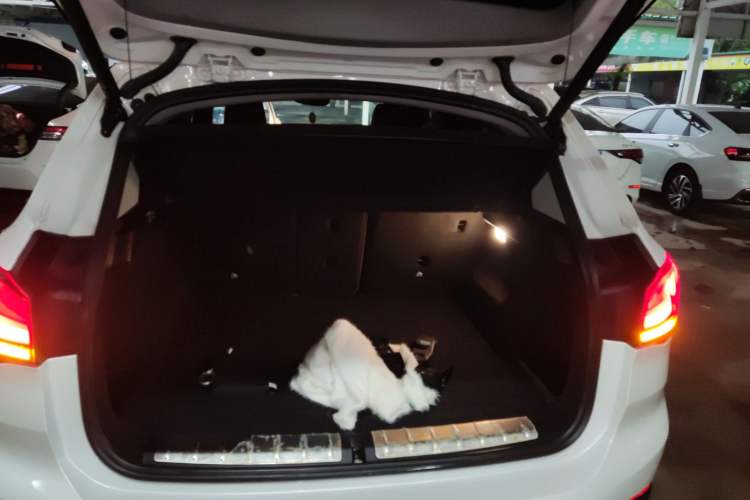 Used BMW X1 2021 Restyled sDrive25Li Leading Edition
