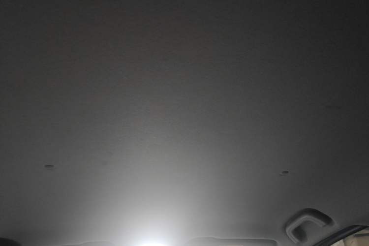 Used Geometry E Firefly 2022 320KM Cute Tiger 4-Seater Headliner