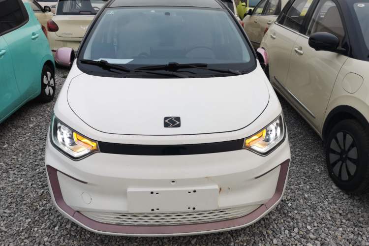 Used SOL E10X 2022 Flower Fairy Design Sunflower Front