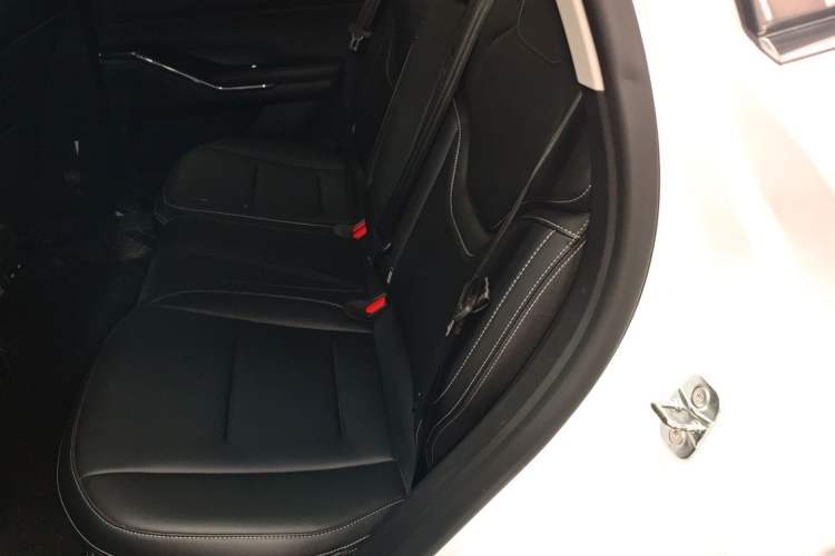 Used Haval H6 2024 1.5T Two-Wheel-Drive Classic Edition Left Rear Seat