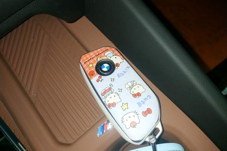 Used BMW 5 Series 2026 530Li Leading M Sport Package
