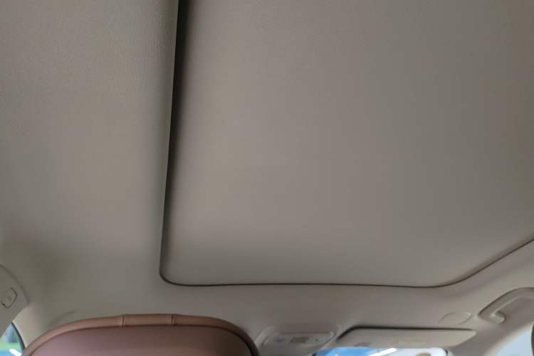 Used Leapmotor C11 2026 Range-Extended 300 LiDAR Prestige Edition Headliner