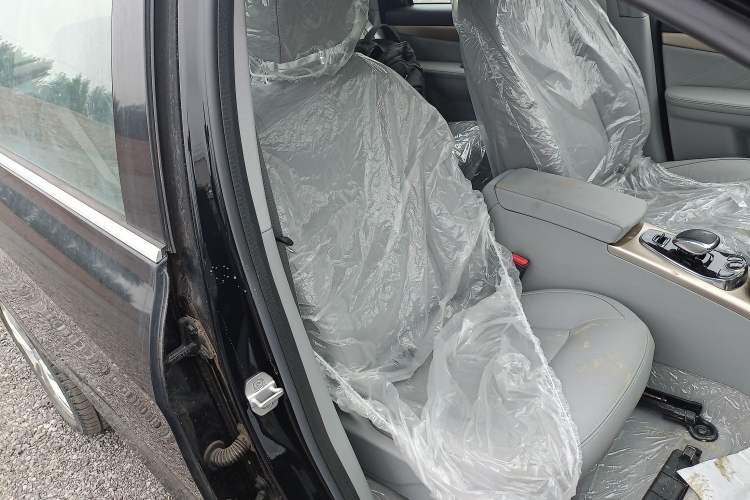 Used Denza Denza 2018 450 Base Version
