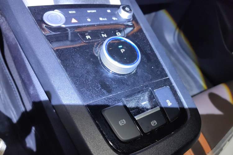 Used BYD e2 2021 Luxury Model Gear Lever