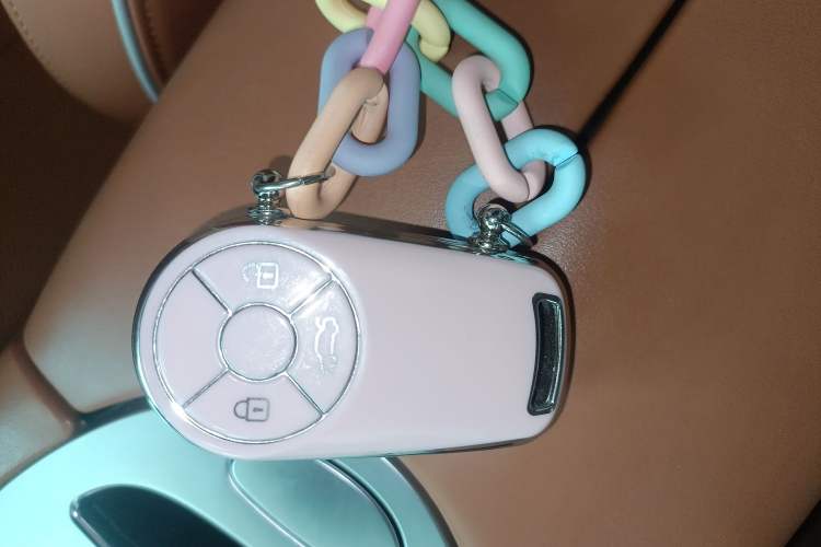 Used ORA Lightning Cat 2022 555 km Luxury Edition
