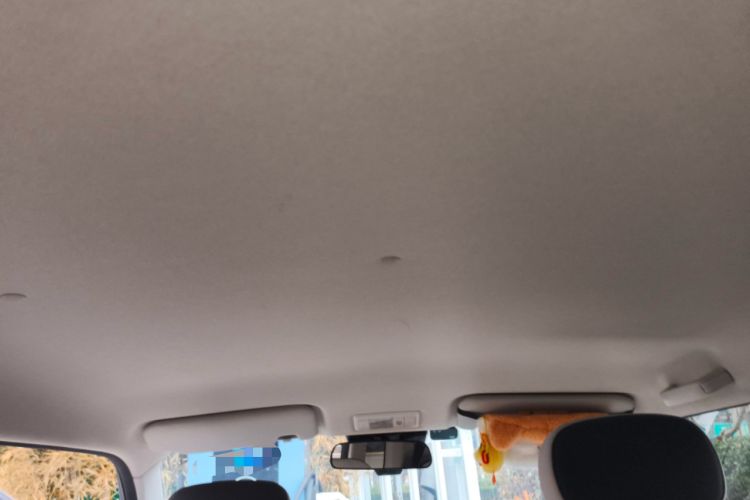 Used Qiyuan Lumin 2023 205km Xiangqin Version
