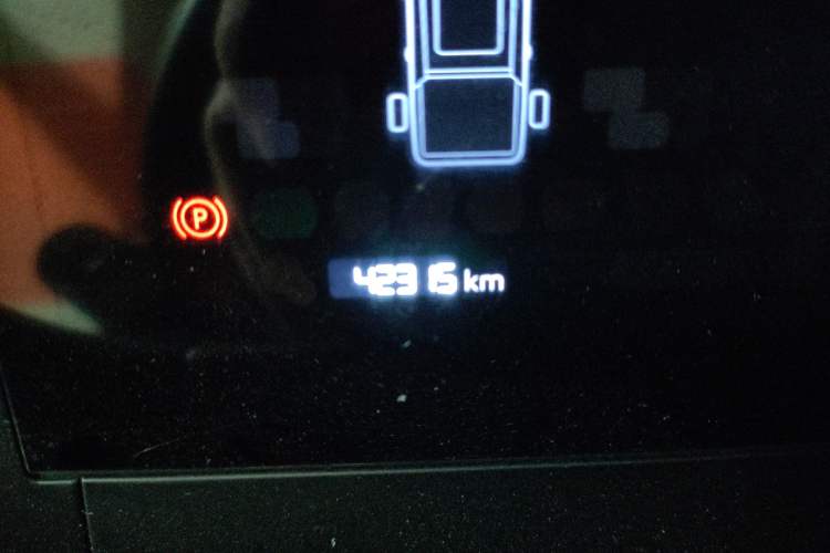 Used Radar King Kong 2025 430 km Two-Wheel Drive Long Bed – Lucky King Odometer Close Up