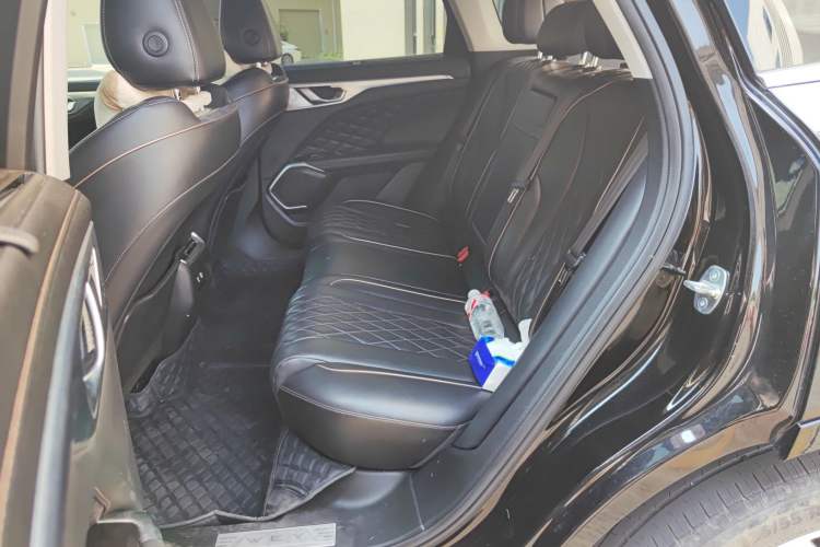 Used Wey Mocha 2021 2.0T Two-Wheel-Drive Premium Edition