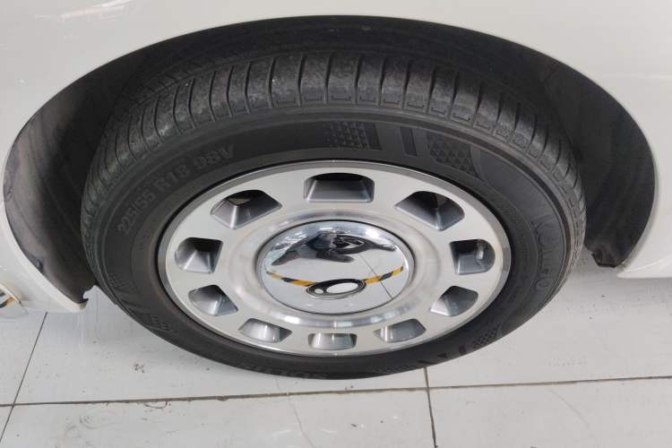 Used ORA Ballet Cat 2023 401 km Luxury Version