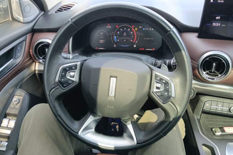 Used Wey VV6 2020 2.0T Two-Wheel Drive Smart Protection+