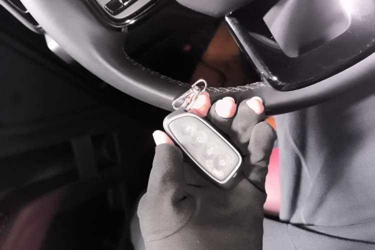 Used Haval H9 2024 2.0T Gasoline All-Wheel-Drive Extreme Edition
