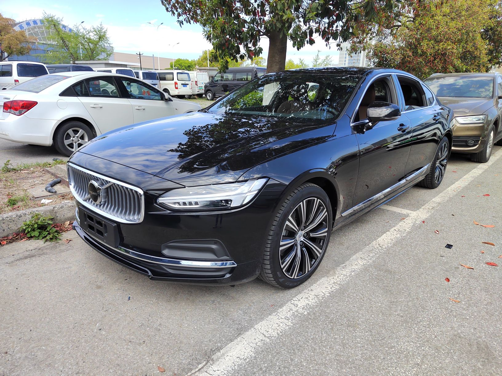 Parte inferior delantera