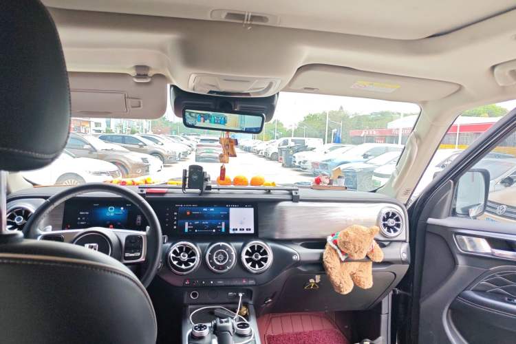 Used Tank 300 2021 City Edition 2.0T—Truly Stylish
