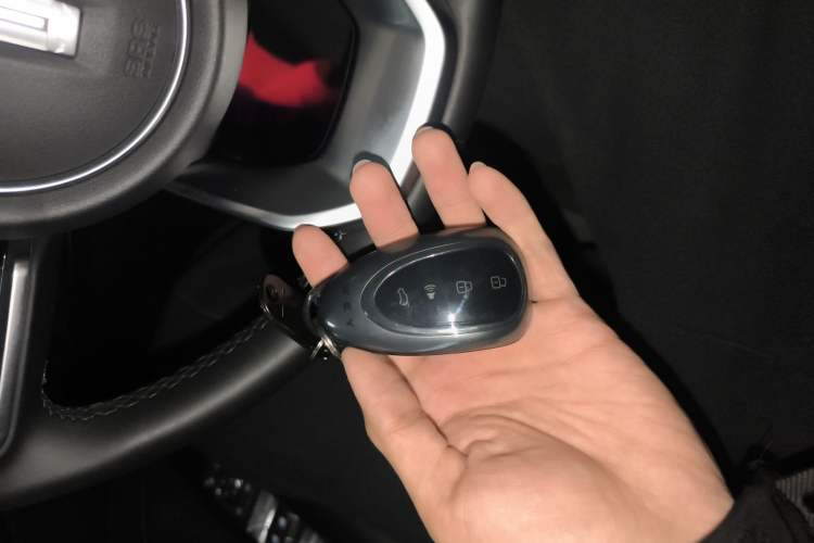 Used Wey Latte DHT-PHEV 2022 1.5T Four-Wheel Drive Extra-Large Version Vehicle Key