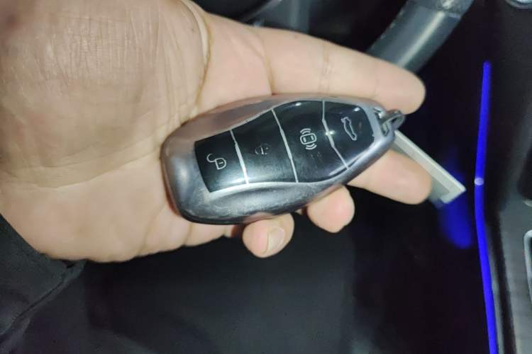 Used Hongqi HS7 PHEV 2024 2.0T PHEV Four-Wheel Drive Flagship Edition 6 Seats
