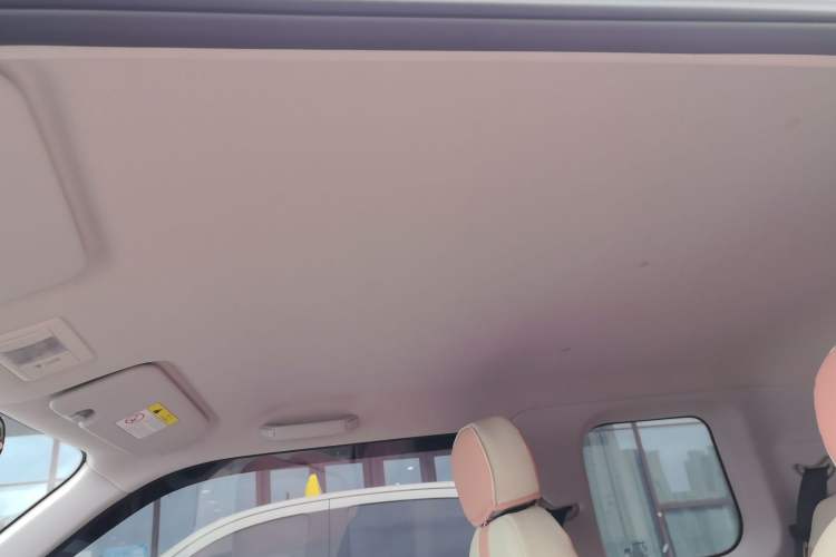 Used Qiyuan Lumin 2025 205 km Xiangqin Version