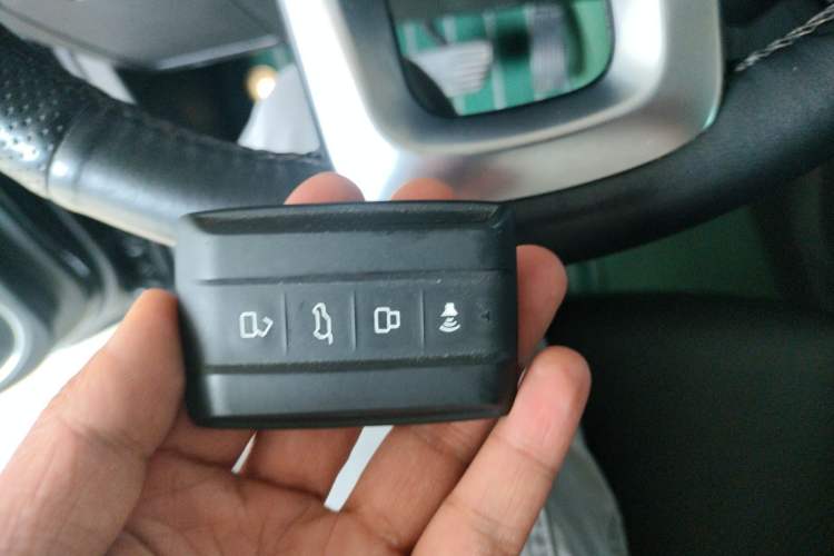 Used Tank 300 2021 City Edition 2.0T Essential Model