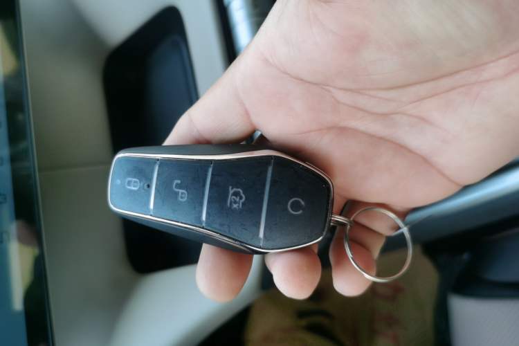 Used BYD Dolphin 2025 420km Free Edition Vehicle Key