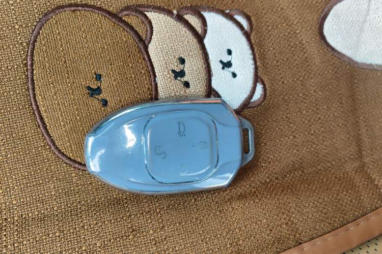 Used GAC Trumpchi ES9 2024 PHEV 143km Pro Vehicle Key