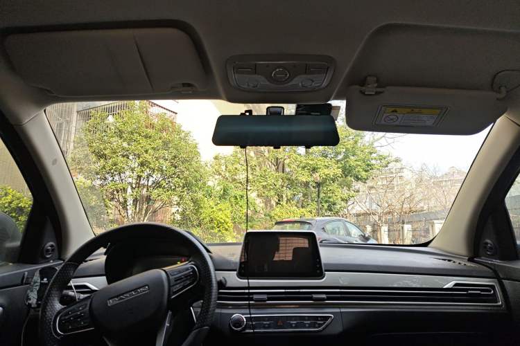 Used Dayun Yuehu 2021 32.85 kWh Two-Wheel-Drive Sprite Version Headliner