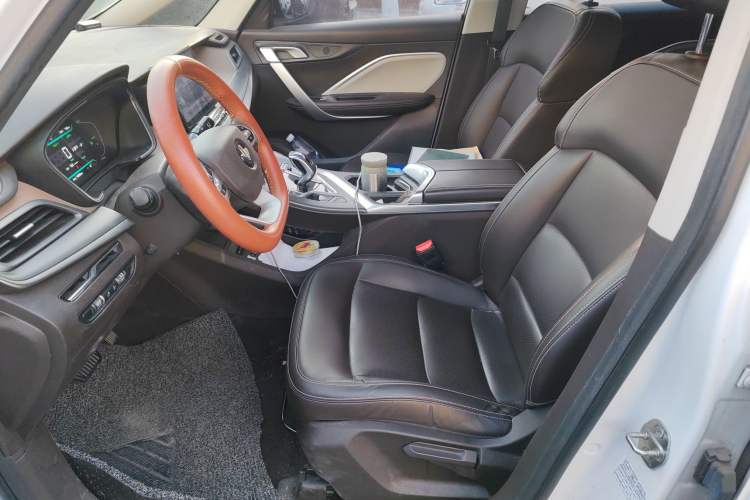 Used Livan Maple 80V 2021 Easy-Drive Version Lithium-Ion
