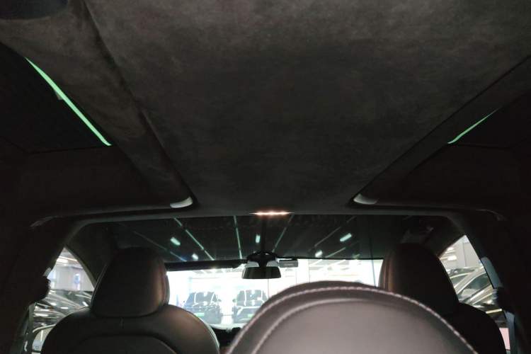 Used Tesla Model X 2020 Performance High-Performance Edition Headliner