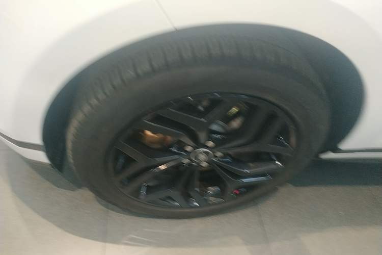 Used Land Rover Range Evoque 2023 Aurora L 249 PS Luxury Edition
