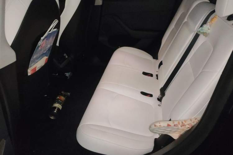 Used Tesla Model Y 2021 Standard Range Rear-Wheel Drive Version Left Rear Seat