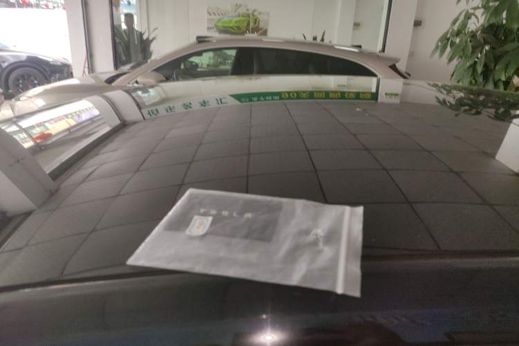 Used Tesla Model 3 2020 Revised Version Standard Range Rear-Wheel Drive – Upgraded Edition Roof