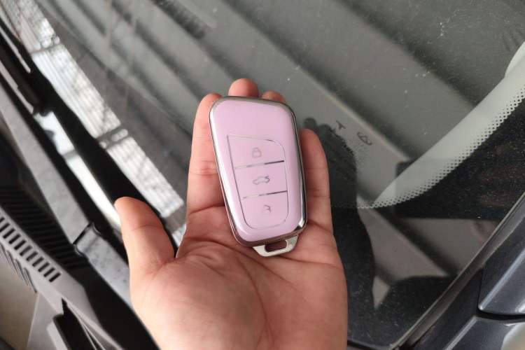 Used Chery QQ Little Ant 2022 Restyled Version Sweet Pink Edition Half-Sugar Version 30.6 kWh 30 kW 301 km Vehicle Key