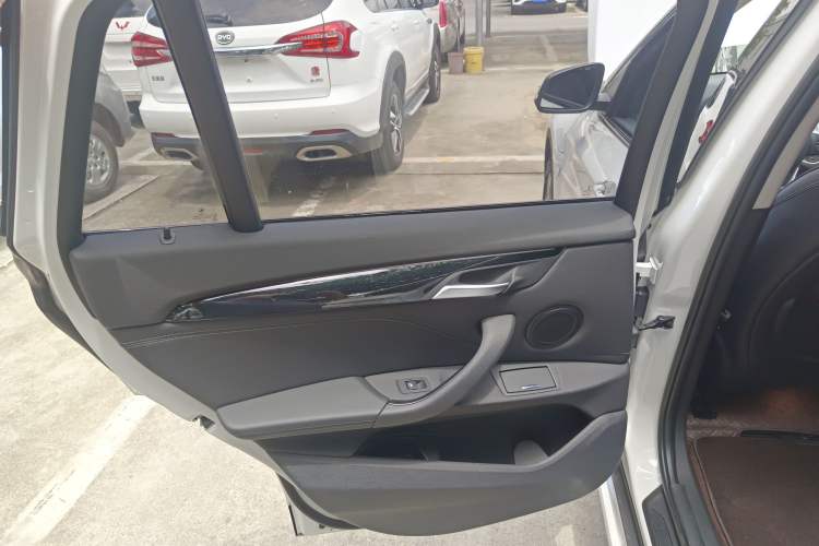 Used BMW X1 New Energy 2018 xDrive25Le Luxury Model Left Rear Door Interior