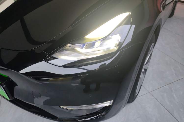 Used Tesla Model Y 2021 Standard Range Rear-Wheel Drive Version
