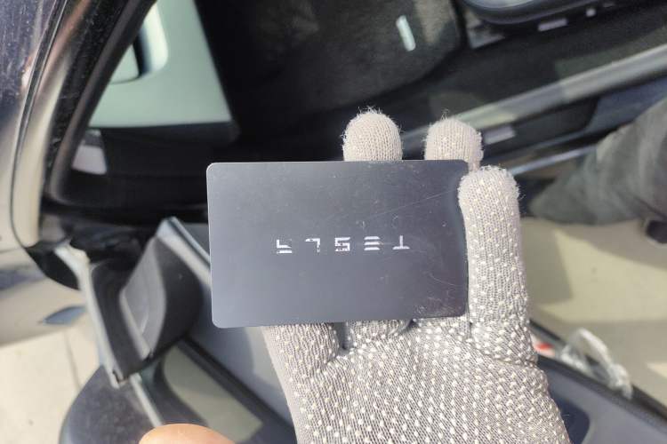 Used Tesla Model 3 2023 Rear-Wheel-Drive Version Interior 1