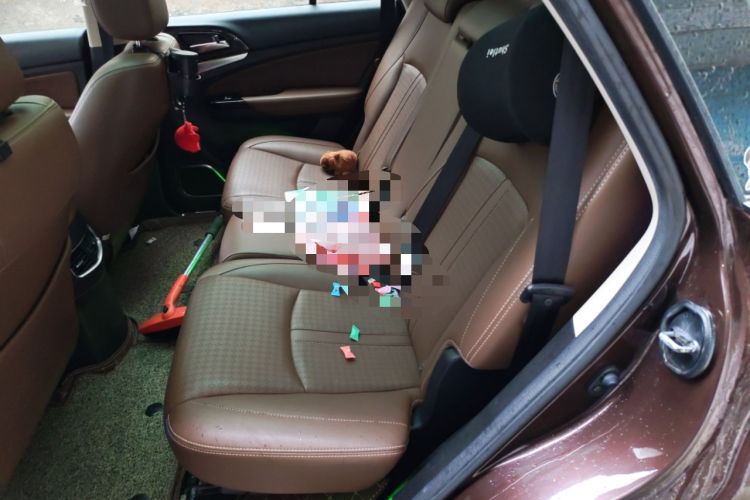 Used BYD S7 2016 2.0T Automatic Prestige Plus Left Rear Seat