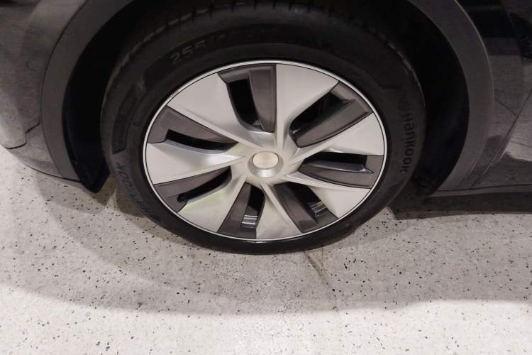 Used Tesla Model Y 2021 Standard Range Rear-Wheel Drive Version
