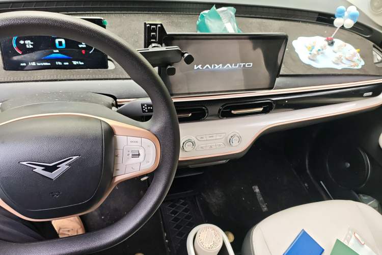 Used Cowin October 2025 Mate 300km Surfing Edition
