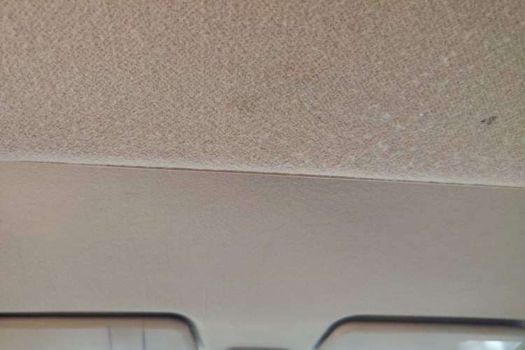 Used Wuling Hongguang 2015 1.5L S1 Comfort China V Standard Headliner