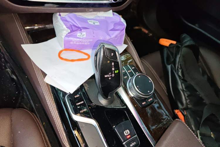 Used BMW 5 Series 2019 525Li Luxury Package Gear Lever