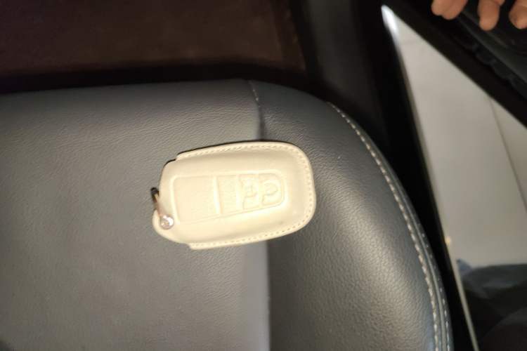 Used Toyota Wildlander 2022 2.0L CVT Two-Wheel Drive Luxury PLUS Edition
