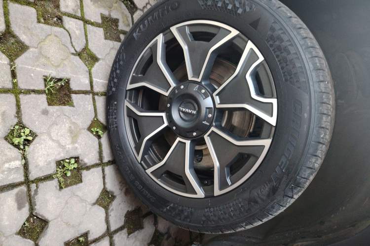 Used Haval H Dog New Energy 2024 Hi4 102km Trend Electric Version Plus Right Front Wheel Hub