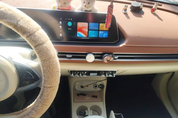 Used ORA Good Cat 2023 401 km Standard Range Luxury Version Lithium Iron Phosphate