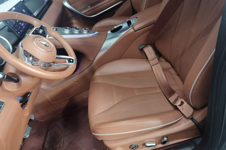 Used ORA Lightning Cat 2022 555 km Luxury Edition

