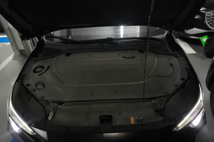 Used Rising ER6 2021 New Dynamic Edition 620km Smart Enjoyment Version

