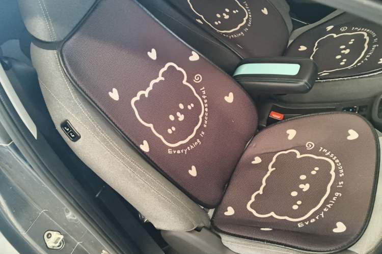 Used Chery QQ Little Ant 2021 150 000 Yuan "Ant Fan" Edition New Ant Cool Version Lithium-Ion Battery Right Front Seat