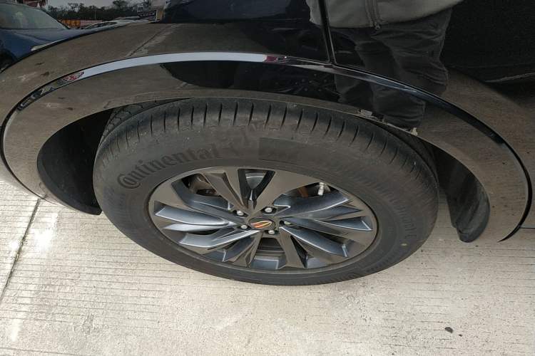 Used Hongqi HS5 2023 2.0T Qixiang Pro 500 000th Unit Commemorative Edition Exterior 5