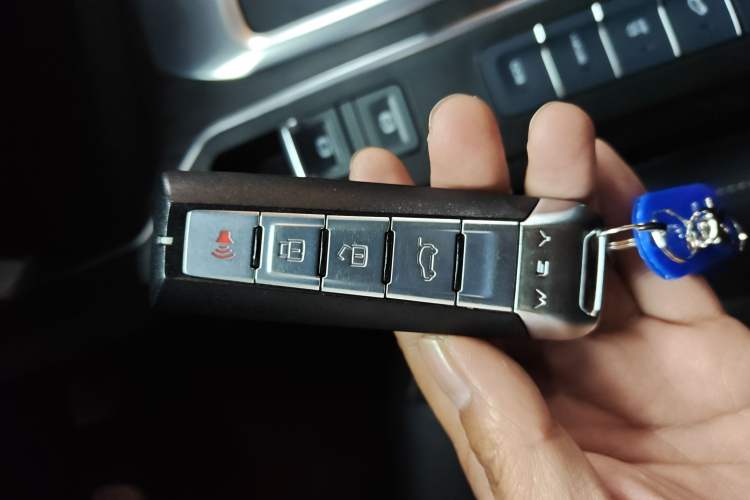 Used Wey VV6 2020 2.0T Two-Wheel Drive Smart Protection+ Interior 1