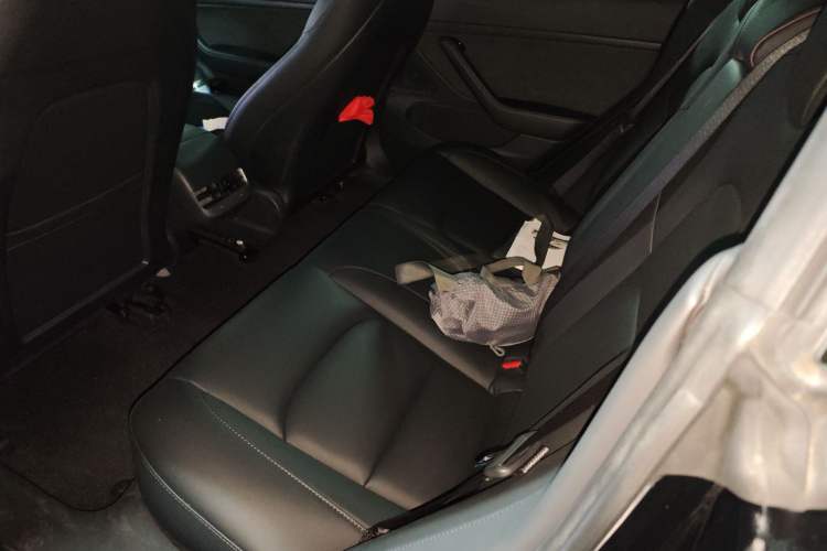 Used Tesla Model 3 2020 Standard Range Rear-Wheel Drive Upgraded Version